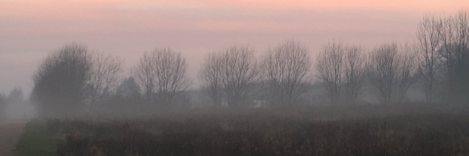 treezyoung's profile banner image