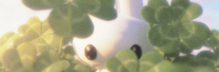 백구 banner