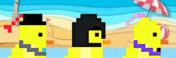 Dashing Duck banner