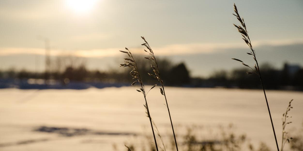 smeyec's profile banner image