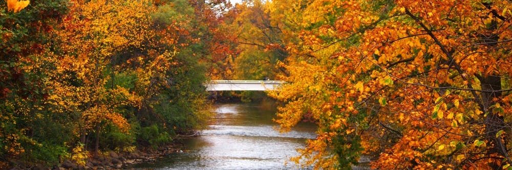 Trouble With The Slap banner