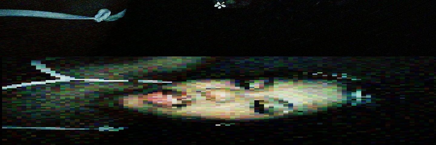 byofck's profile banner image
