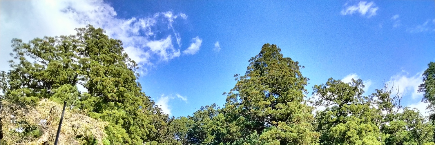 wimyu_'s profile banner image