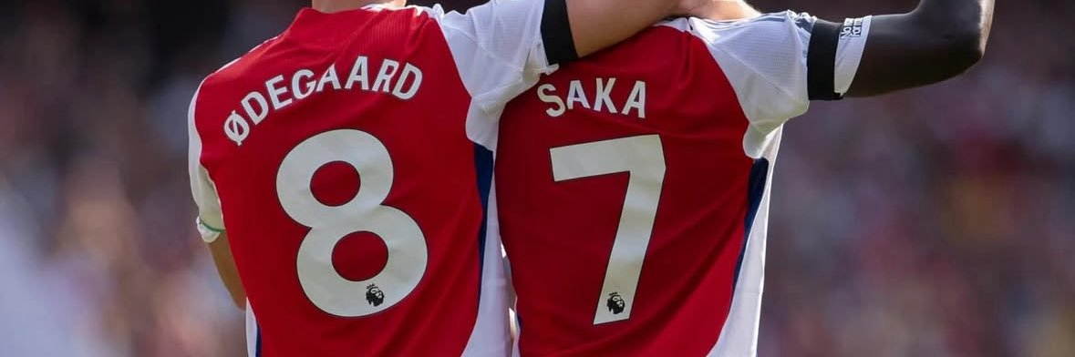 🇦🇱🇽🇰's banner