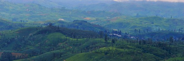 sanddun Profile Banner