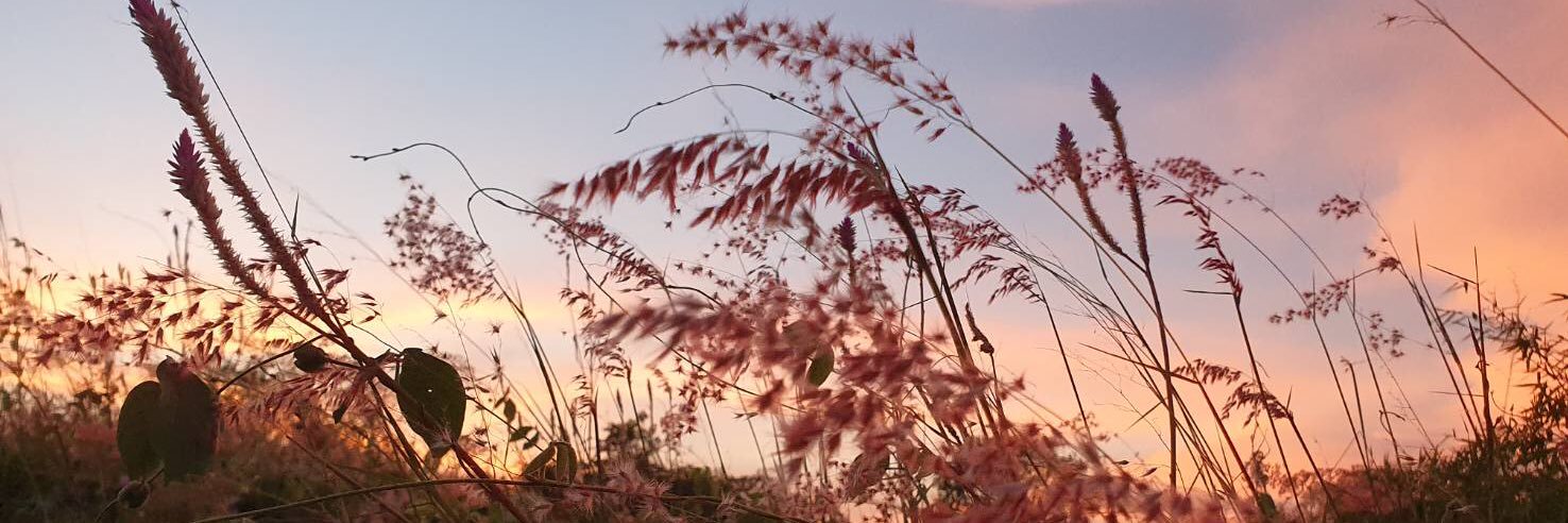 fitryasya's profile banner image