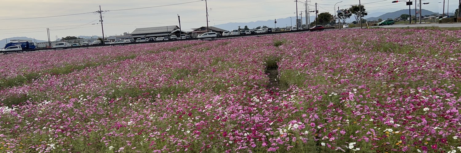 omamesan2012's profile banner image