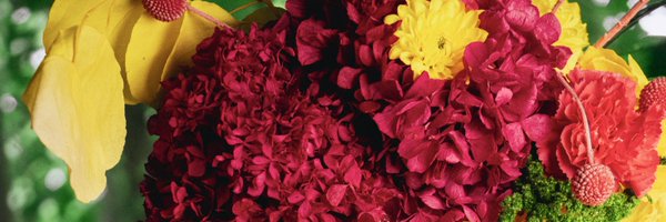 Thotoguzman Profile Banner