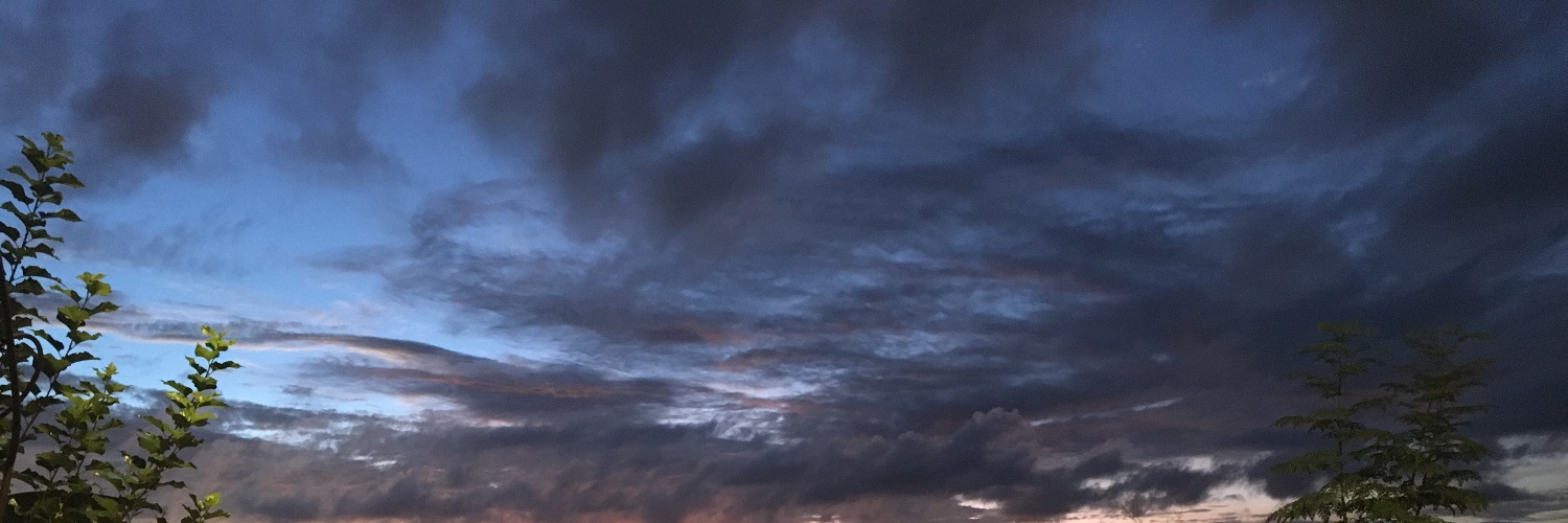 ManawCad's profile banner image