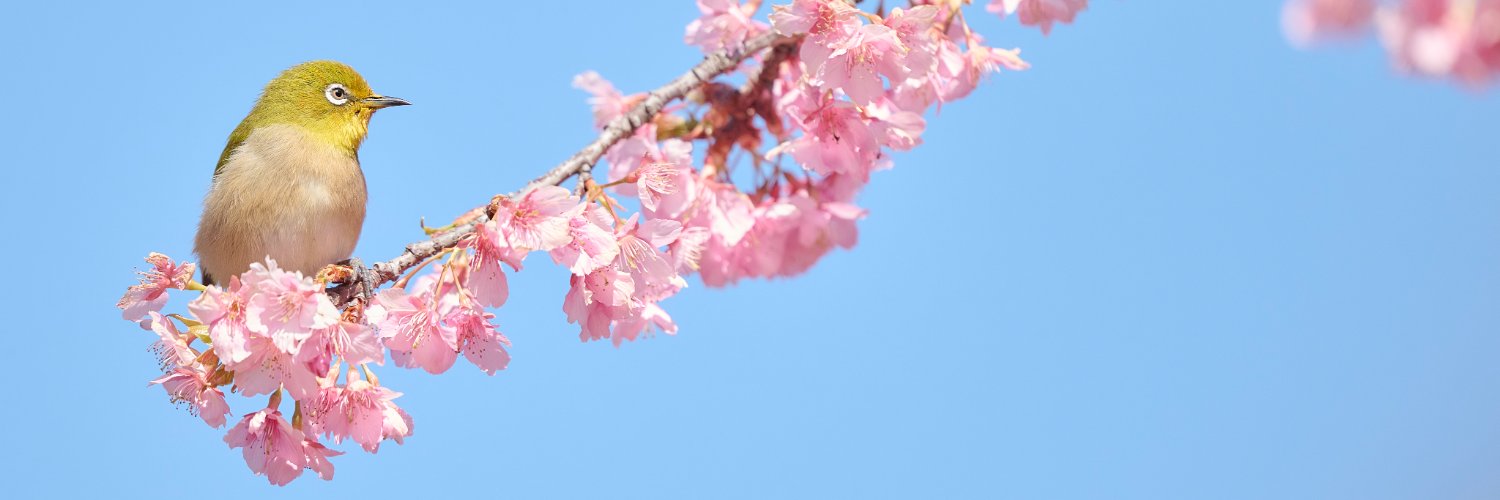 TAMAKI YUKIHIRO a.k.a. クソカメコ banner