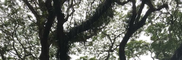 justpetty's profile banner image