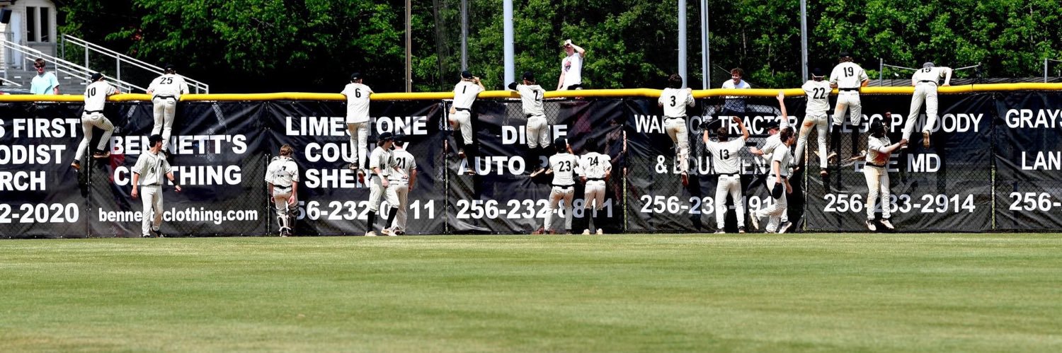 Hudson marks's banner