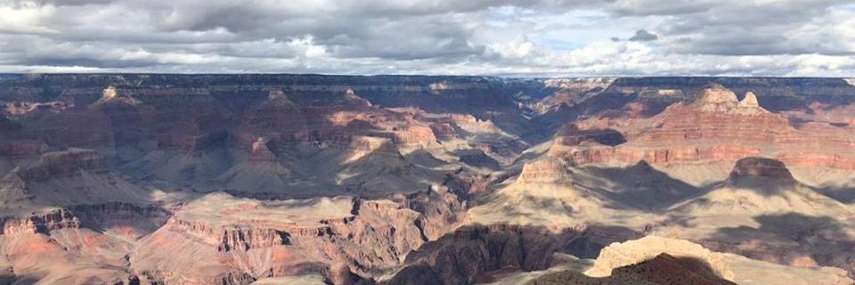 Bishop Jennifer Reddall banner