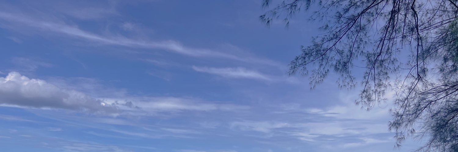 NP_PP banner