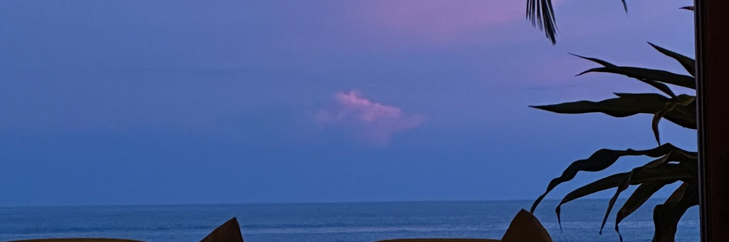 ariadnaferrerm's profile banner image
