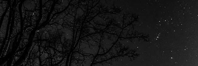jessenmelara's profile banner image