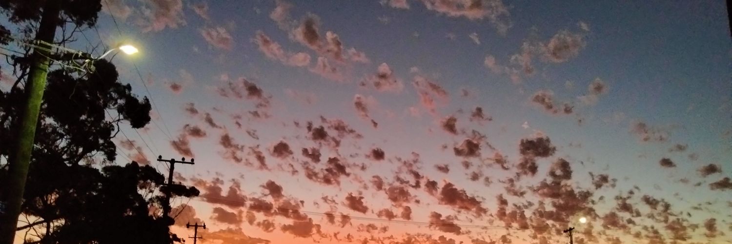 naanthots's profile banner image