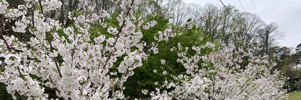 tchandele Profile Banner