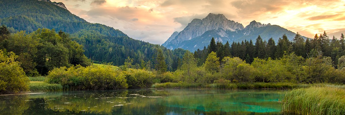 haleyaldrich's profile banner image