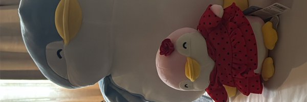 dorititii Profile Banner