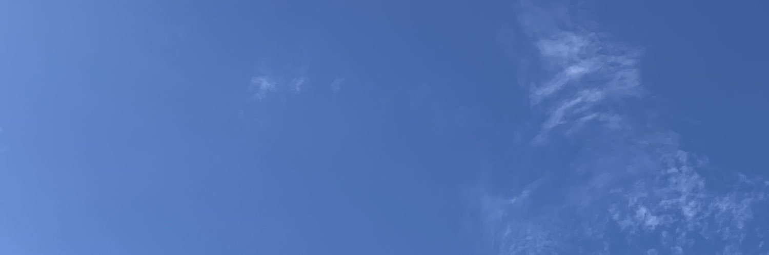 aaradriani's profile banner image