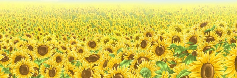 nils00000's profile banner image