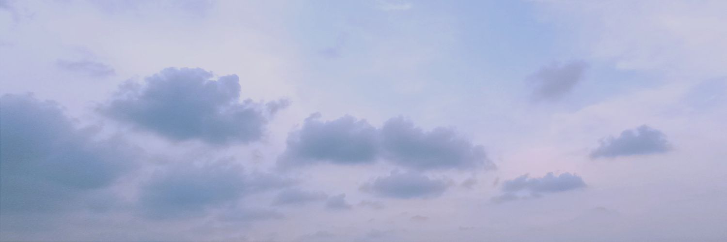 LeliLynn's profile banner image
