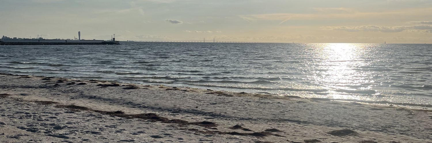 Kevin Lagerwall banner