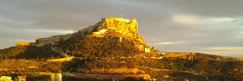 Manuel Lillo i Usechi banner