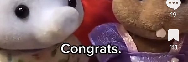 jillesheppard Profile Banner