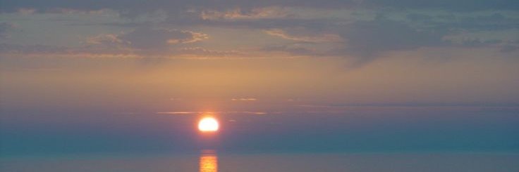 HelloSunshine☈. ݁₊ ⊹ . ݁ ⟡🌺🌸🌼-ˋˏ ༻❁༺ banner