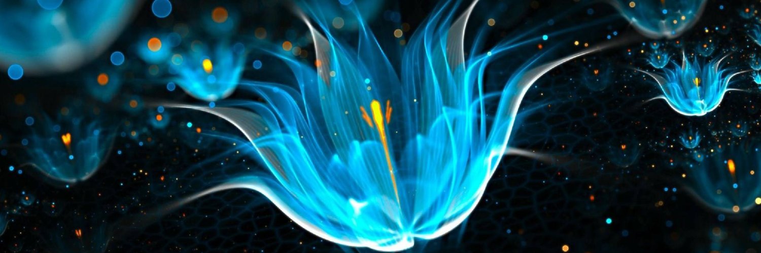 Alessandra Hook banner