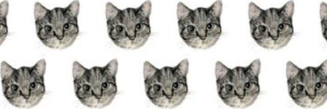 alexmorleyx's profile banner image