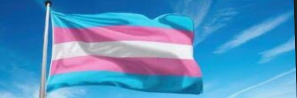 LADY AMAZON banner