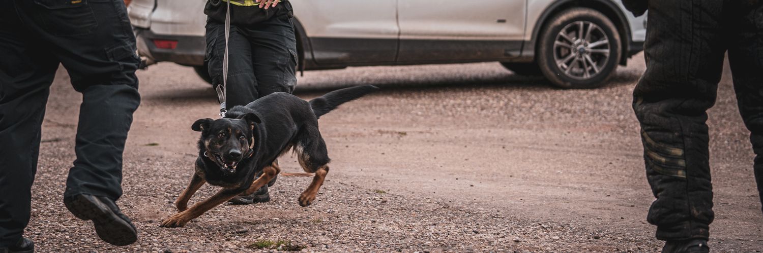 K9_Handler_13's profile banner image