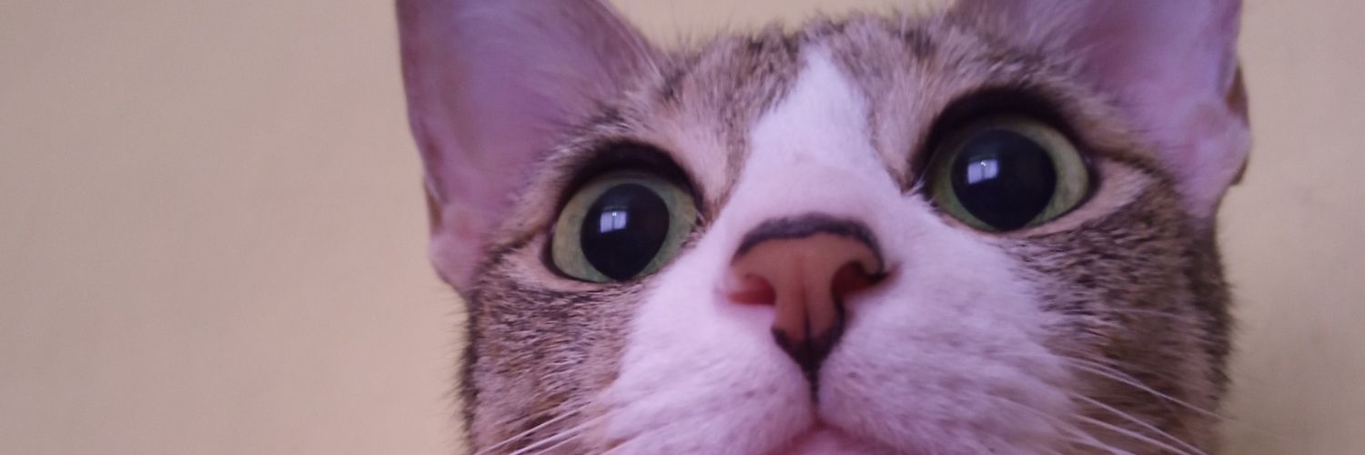 g_eeyan's profile banner image