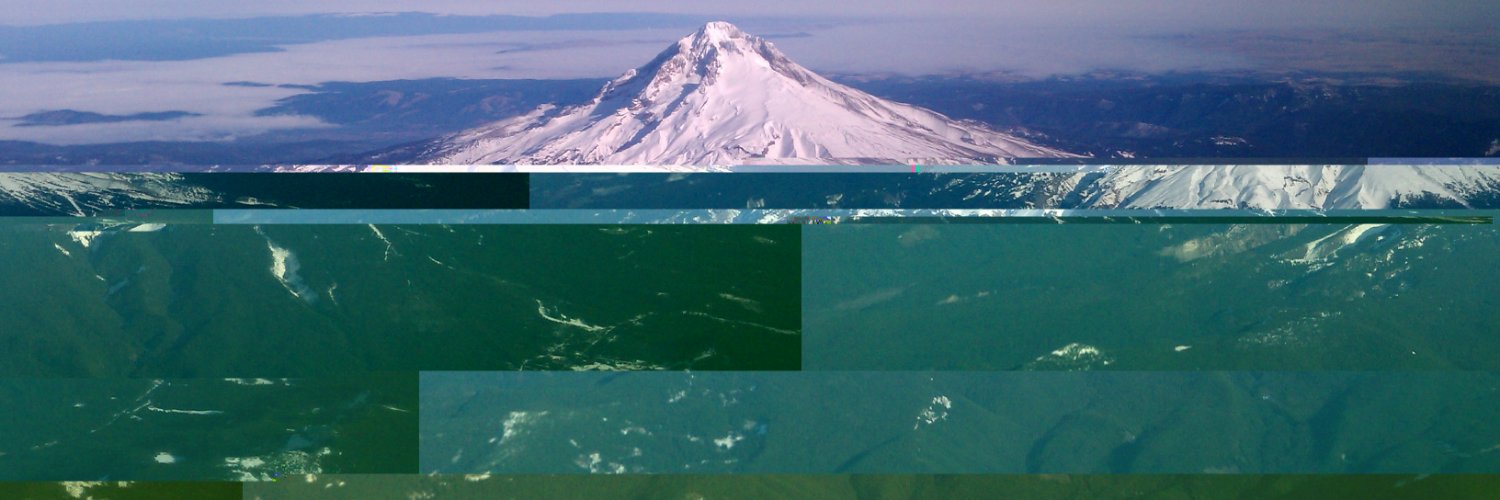 Taylor Hatmaker banner