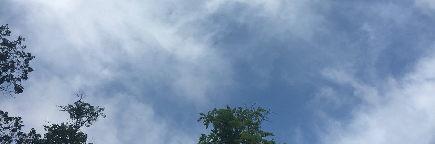 Sayaka  Suzuki banner