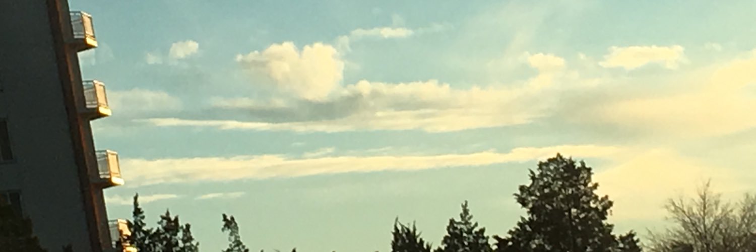 PHunnicutt's profile banner image
