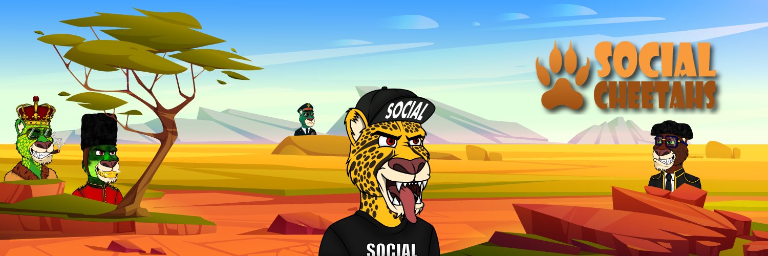 Social_Cheetahs's profile banner image