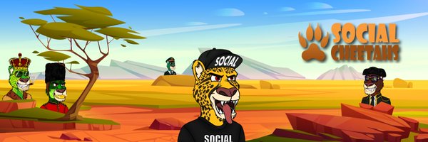 Social Cheetahs Profile Banner