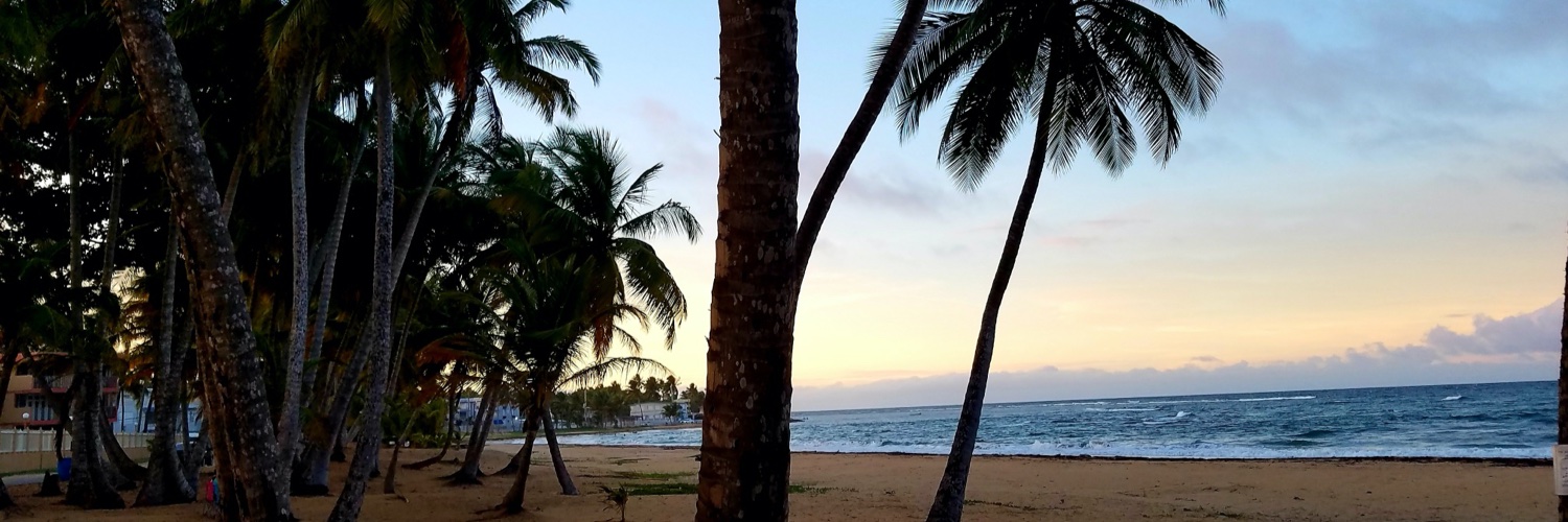 Charlie Nabisco banner
