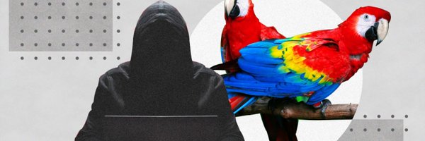 GuacamayanLeaks Profile Banner