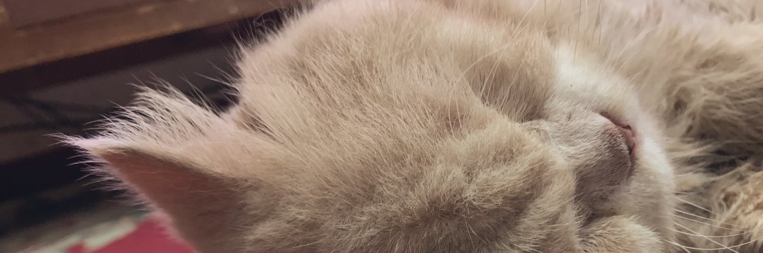 ockyshake's profile banner image