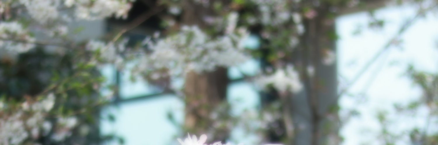 bad131400's profile banner image