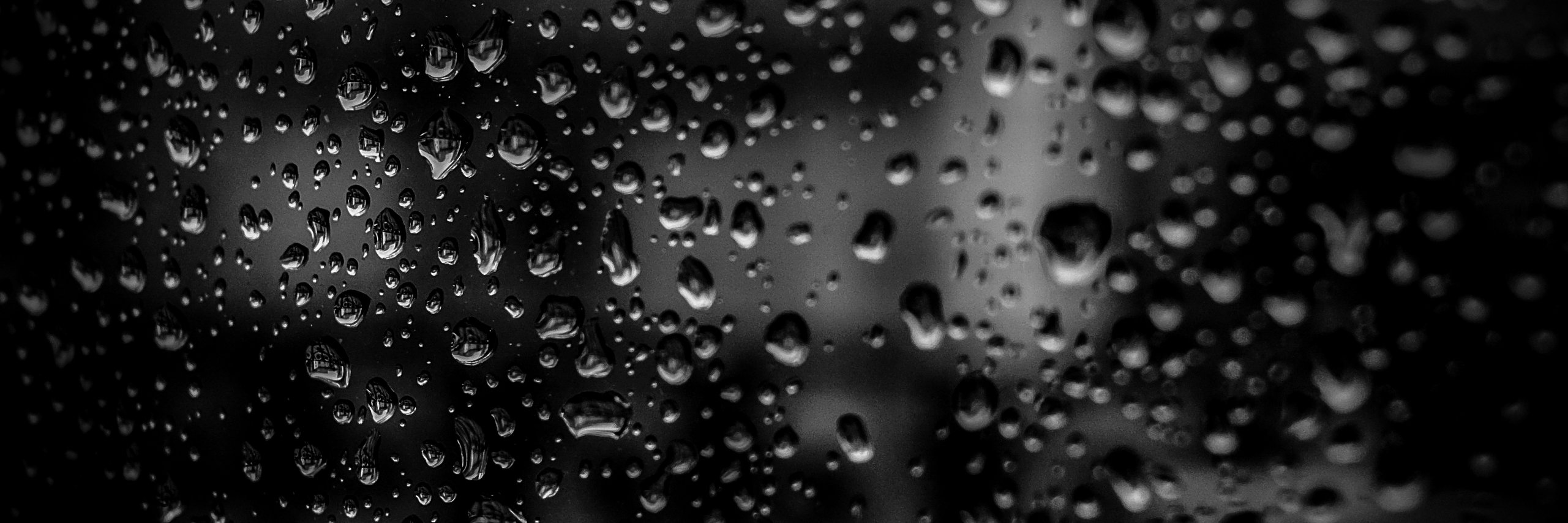 Jessica Morelli banner