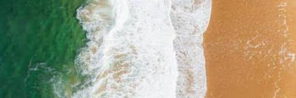 MaxNZEB Profile Banner