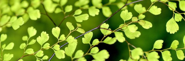 NaturePosUni Profile Banner