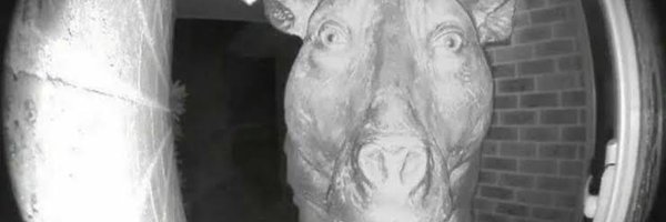 CoolMan4629 Profile Banner