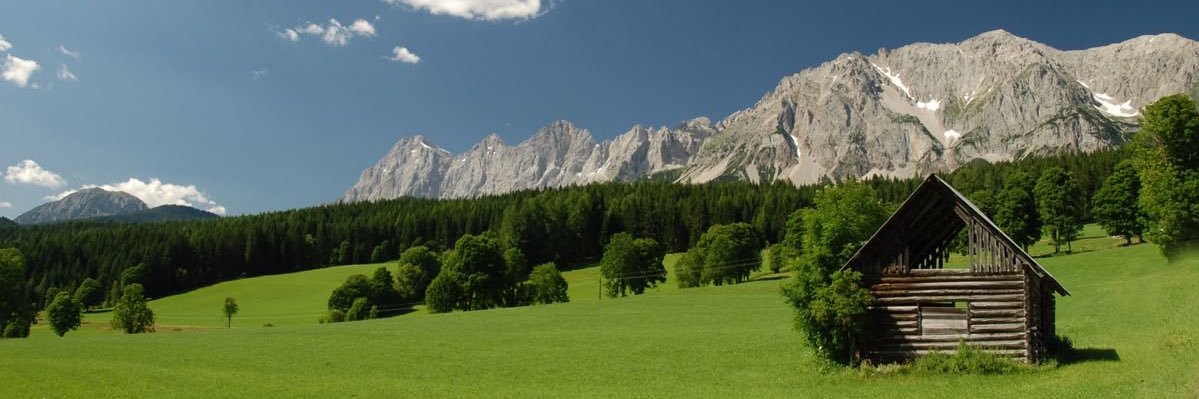 Evergreen Corner. banner